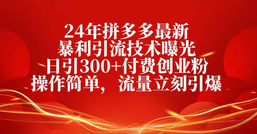 25年拼多多最新暴利引流技术曝光、日引300+付费创业粉操作简单，流量立刻引爆-91搞钱