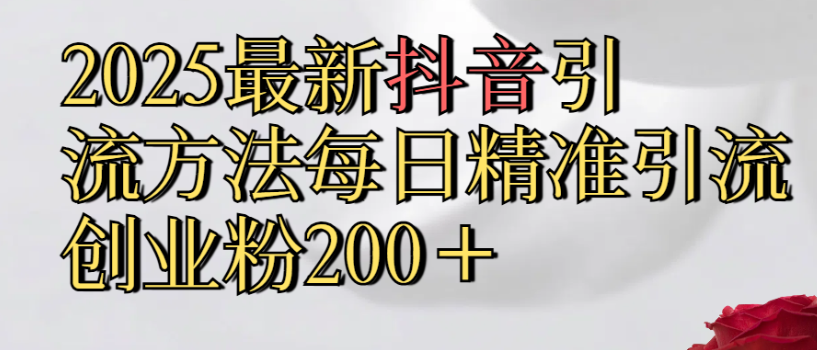2025最新抖音引流,方法每日精准引流创业粉300＋-91搞钱