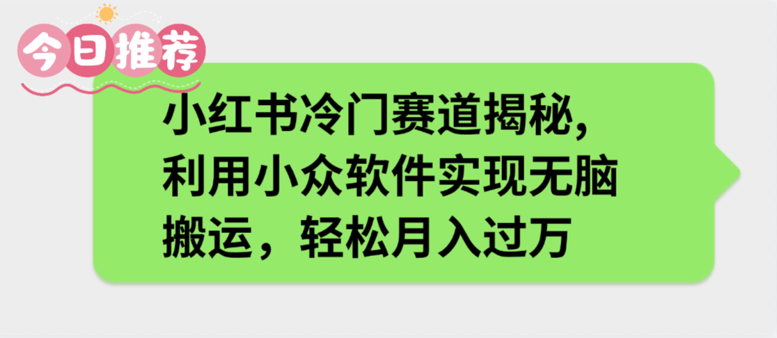 小红书冷门赛道揭秘,利用小众软件实现无脑搬运，轻松月入过万-91搞钱