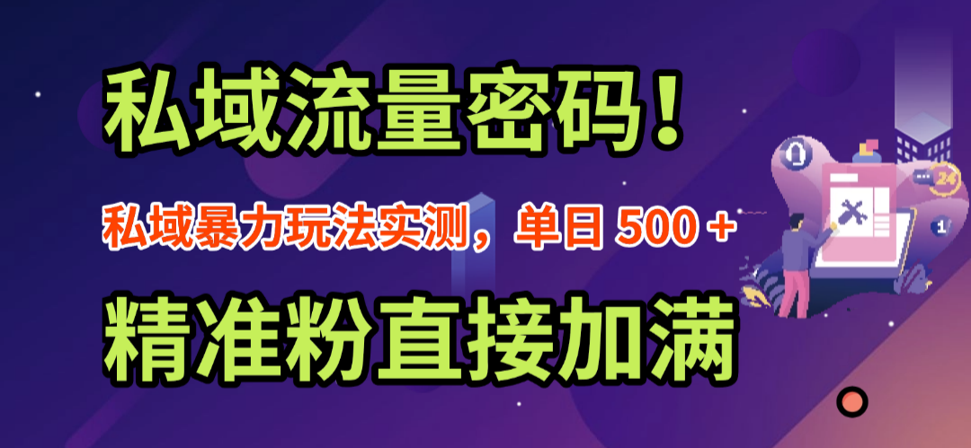 私域流量密码！私域暴力玩法实测，单日 500 + 精准粉直接加满-91搞钱