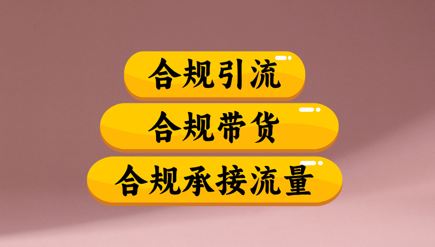 合规引流、合规并且高效地做带货、合规承接流量（揭秘）-91搞钱