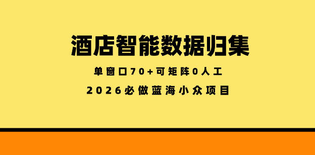 酒店智能数据归集，小众蓝海已经稳定半年之久，单窗口70+零成本矩阵开干【揭秘】-91搞钱