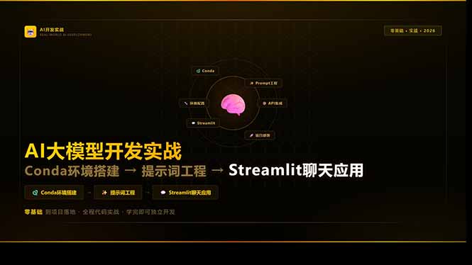 AI大模型开发实战：Conda环境搭建→提示词工程→Streamlit聊天应用，零基础到项目落地-91搞钱