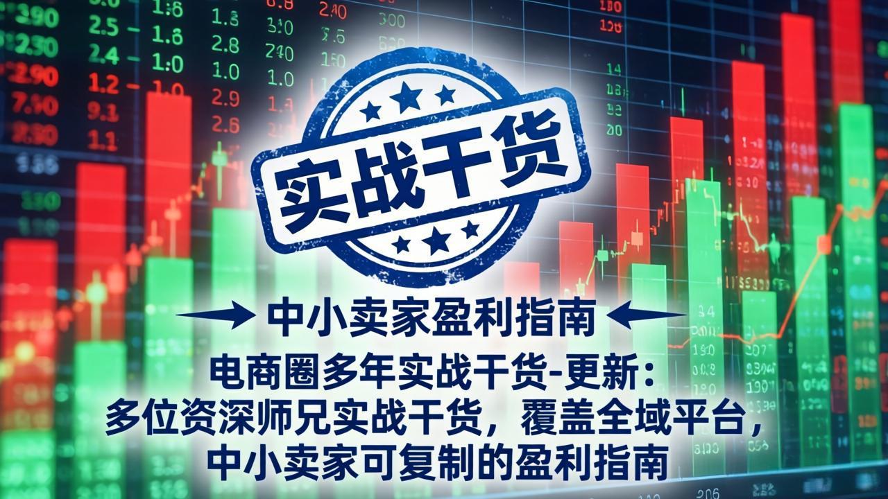 电商圈多年实战干货-更新4月:多位资深师兄实战干货,覆盖全域平台,中小卖家可复制的盈利指南-91搞钱