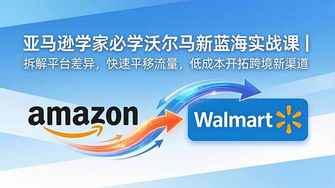 亚马逊卖家必学沃尔玛新蓝海实战课｜拆解平台差异，快速平移流量，低成本开拓跨境新渠道-91搞钱