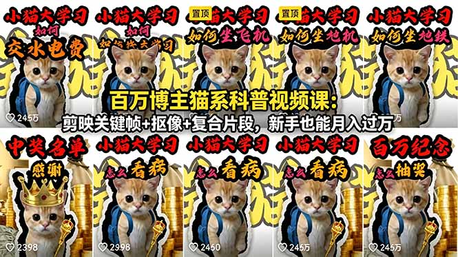 百万博主猫系科普视频课：剪映关键帧+抠像+复合片段，新手也能月入过万-91搞钱