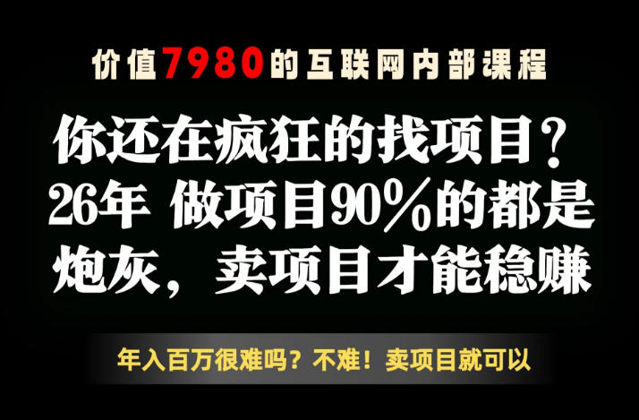 26年请不要疯狂的找项目了，卖项目远比你想象的暴利，你也可以月入10W+【揭秘】-91搞钱