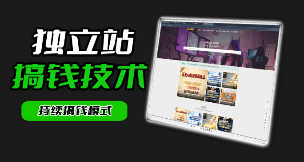 干货来袭！麦子甜带你吃透独立站｜从搭建到引流一站式教学《独立站》第一期-91搞钱