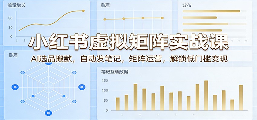 小红书虚拟矩阵实战课:AI选品搬款,自动发笔记,矩阵运营,解锁低门槛变现-91搞钱