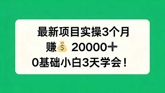 最新项目实操3个月,赚钱20000+,0基础小白3天学会!-91搞钱