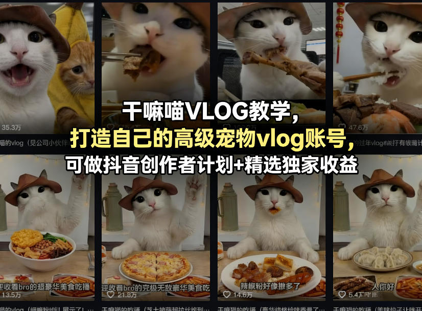 干嘛喵VLOG教学,打造自己的高级宠物vlog账号,可做抖音创作者计划+精选独家收益-91搞钱