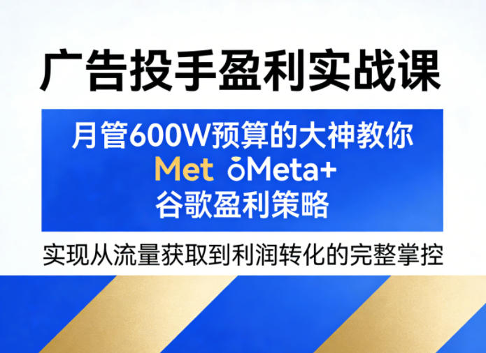 广告投手盈利实战课，月管600W预算的大神教你Meta+谷歌盈利策略，实现从流量获取到利润转化的完整掌控-91搞钱